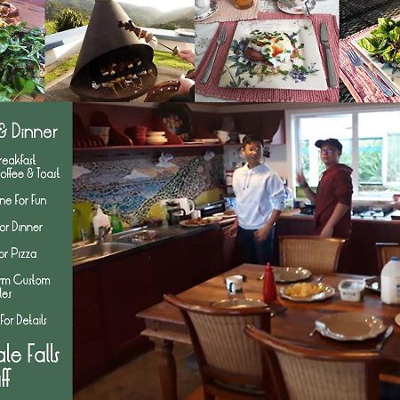 Nightingale Falls Farm Stay Retreat Thames Dış mekan fotoğraf