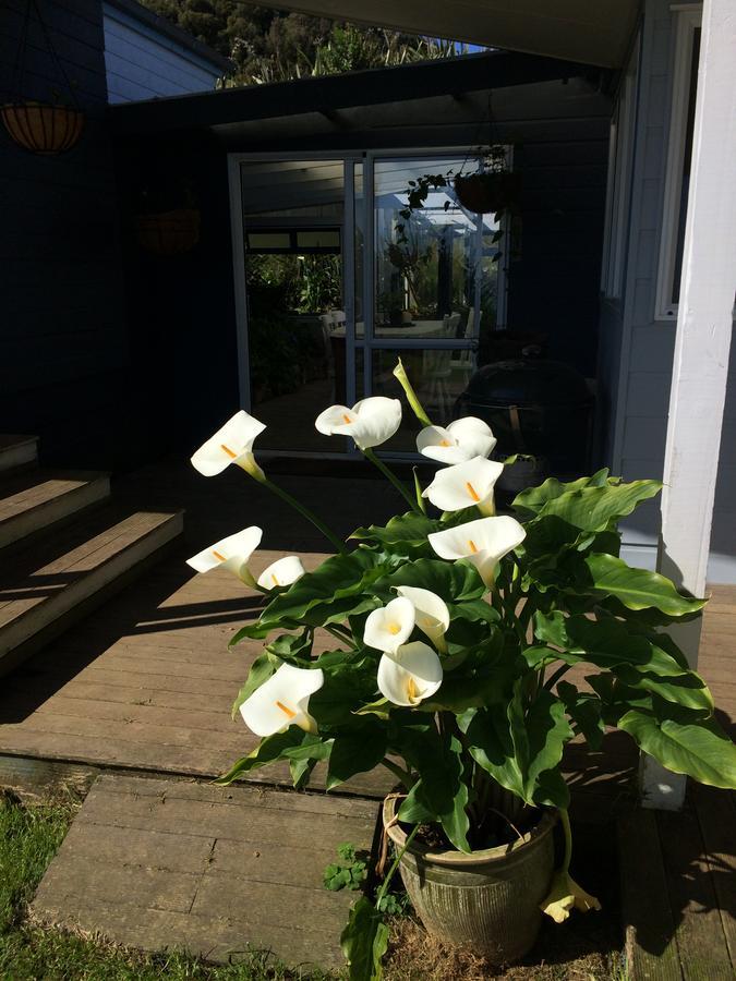 Nightingale Falls Farm Stay Retreat Thames Dış mekan fotoğraf