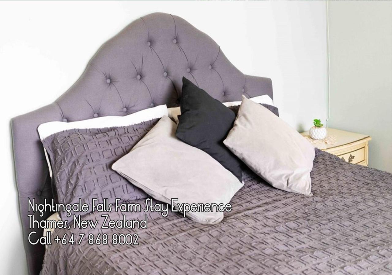Nightingale Falls Farm Stay Retreat Thames Dış mekan fotoğraf