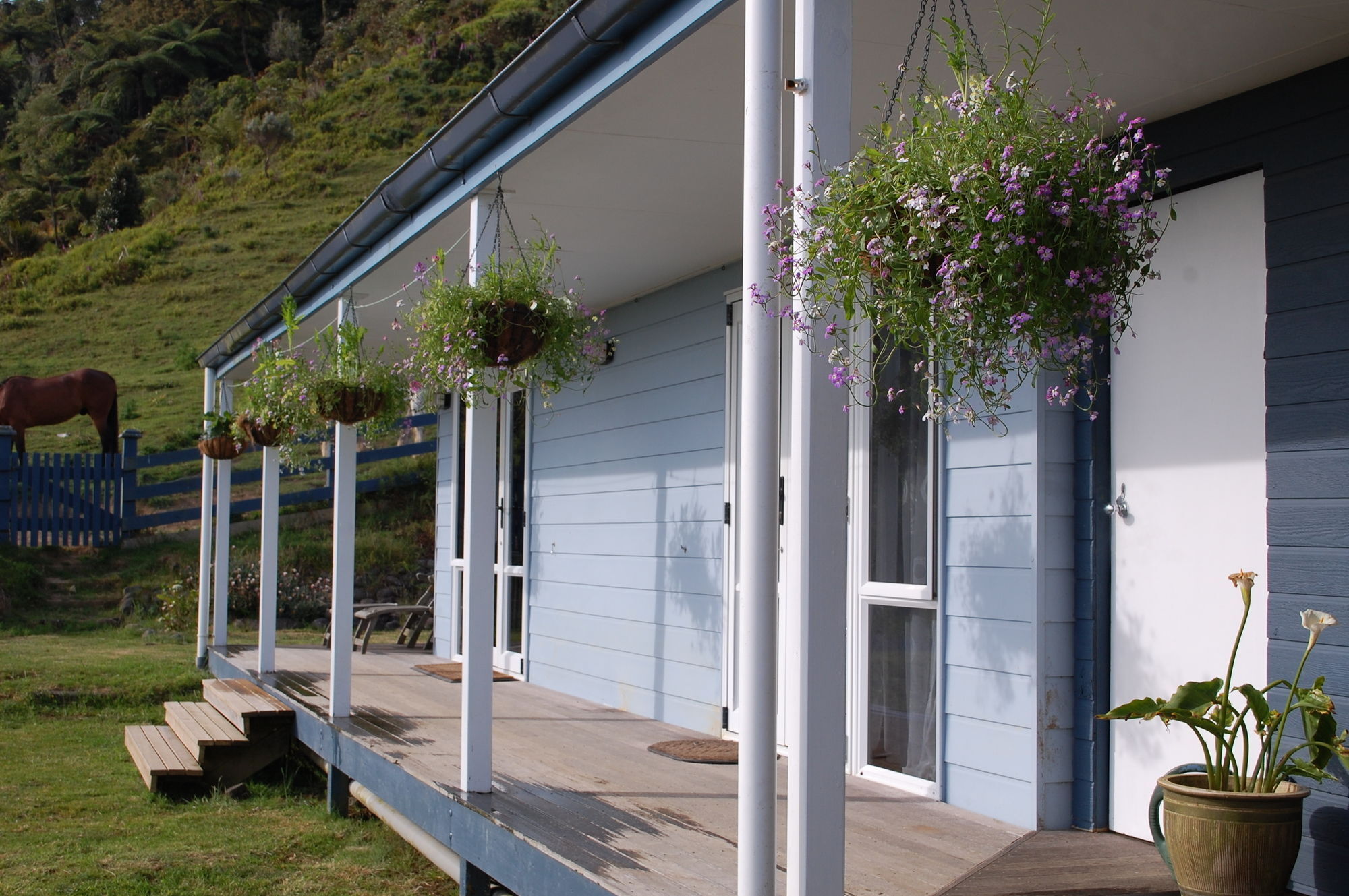 Nightingale Falls Farm Stay Retreat Thames Dış mekan fotoğraf